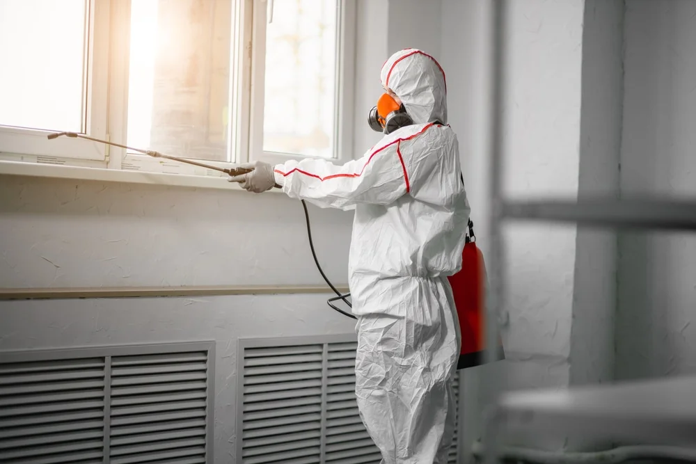 Professional mold remediation services in Center Line, MI
